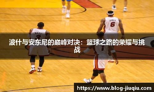 9球高清直播